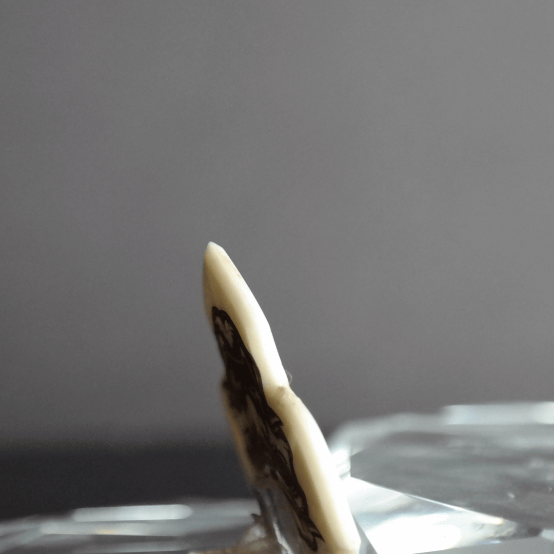 Samurai Kemik Pena - Halloween Özel Kutulu - Knc Picks