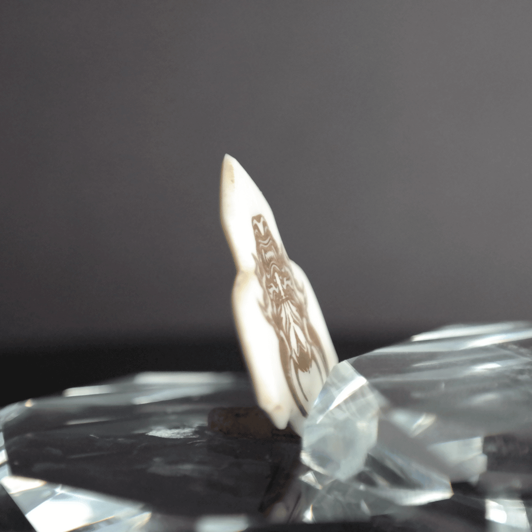 Samurai Kemik Pena - Halloween Kutulu - Knc Picks