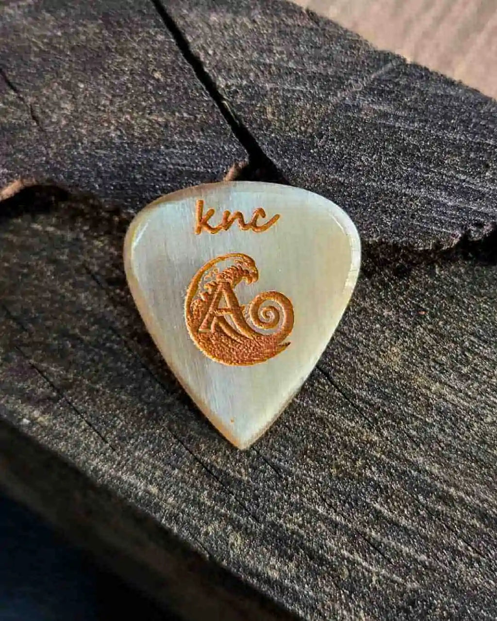 Ali Özen İmzalı Özel Boynuz Gitar Penası