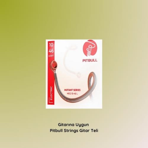 Yılbaşı Özel Gitarist Hediye Seti - Knc Picks