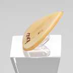 Boynuz Gitar Pena - Knc Picks