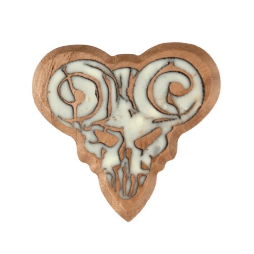 Ceviz Pick Of Destiny - Knc Picks